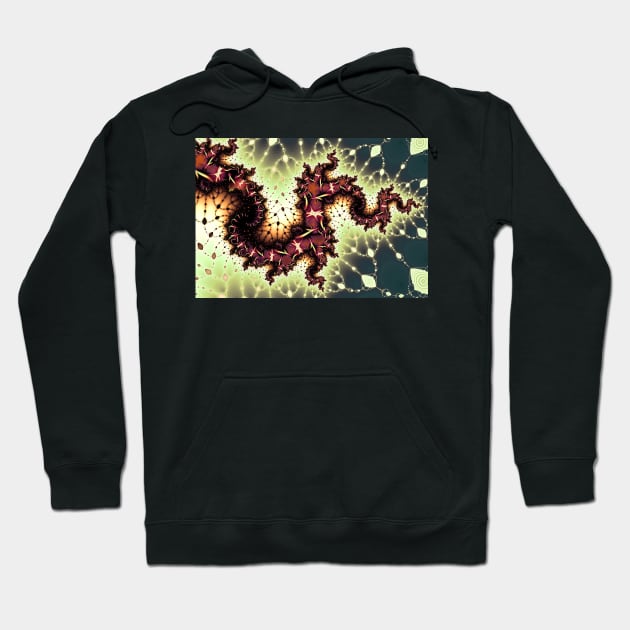 Abstract Fractal Dragon Pattern Hoodie by pinkal